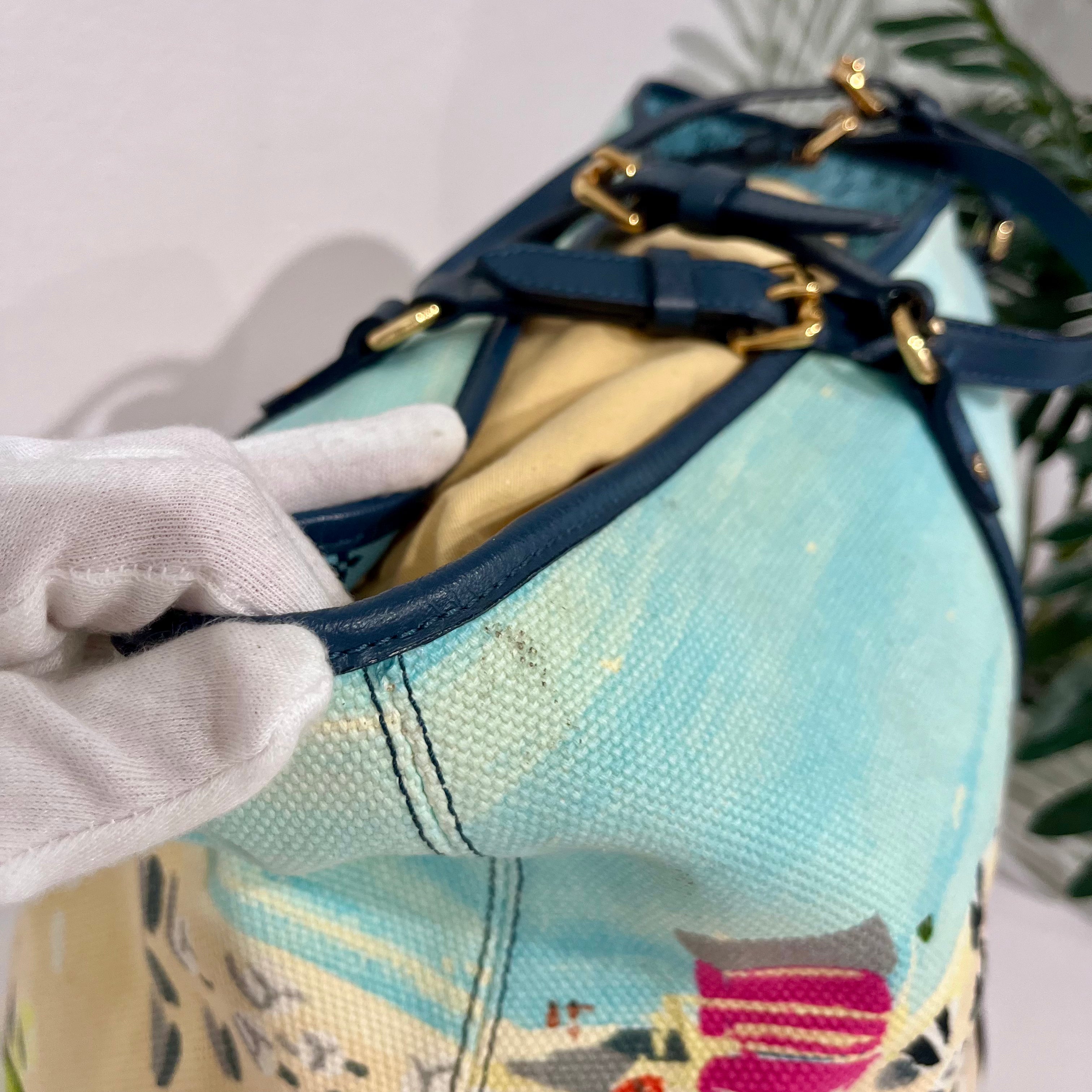 Louis Vuitton Canvas Beach Tote