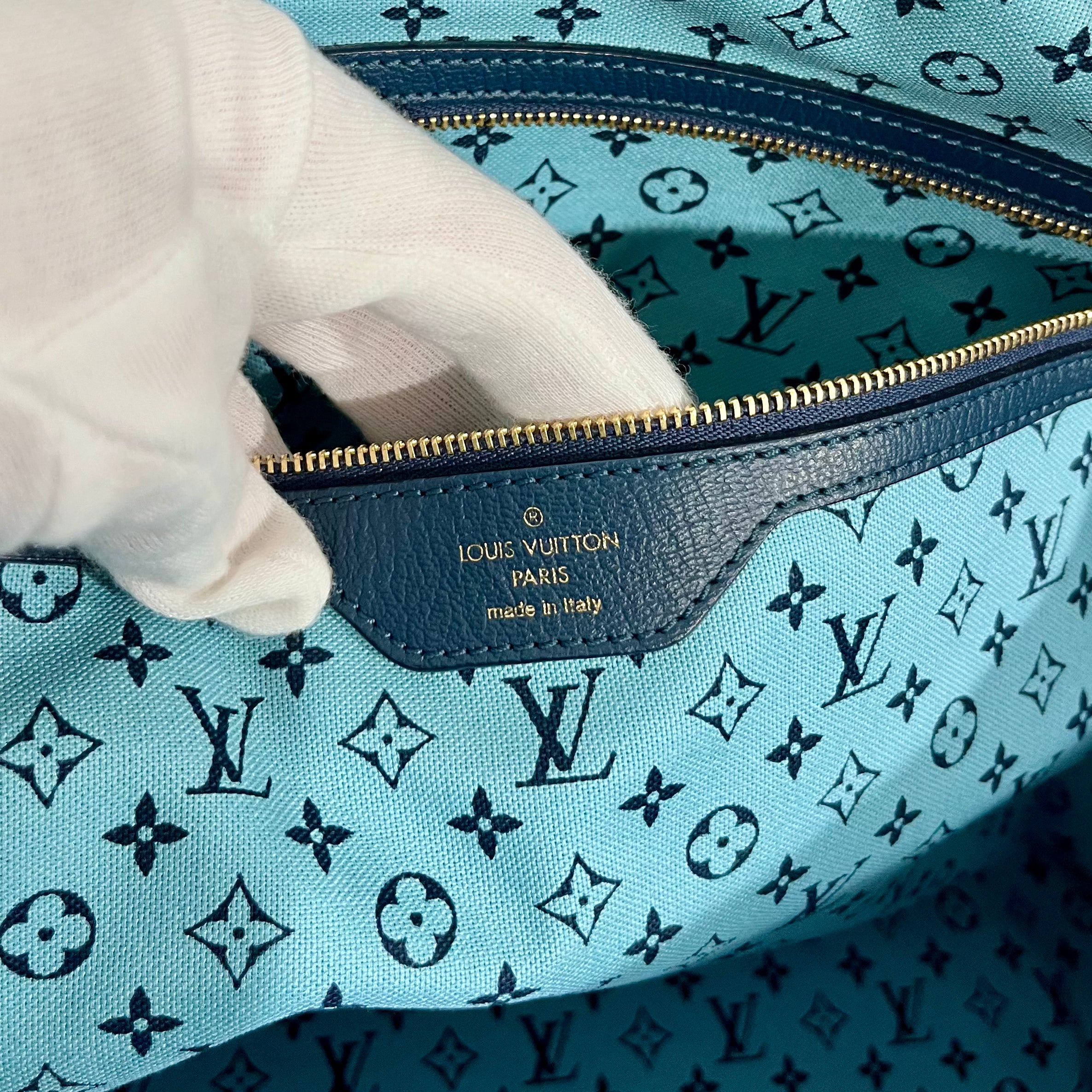 Louis Vuitton Canvas Beach Tote