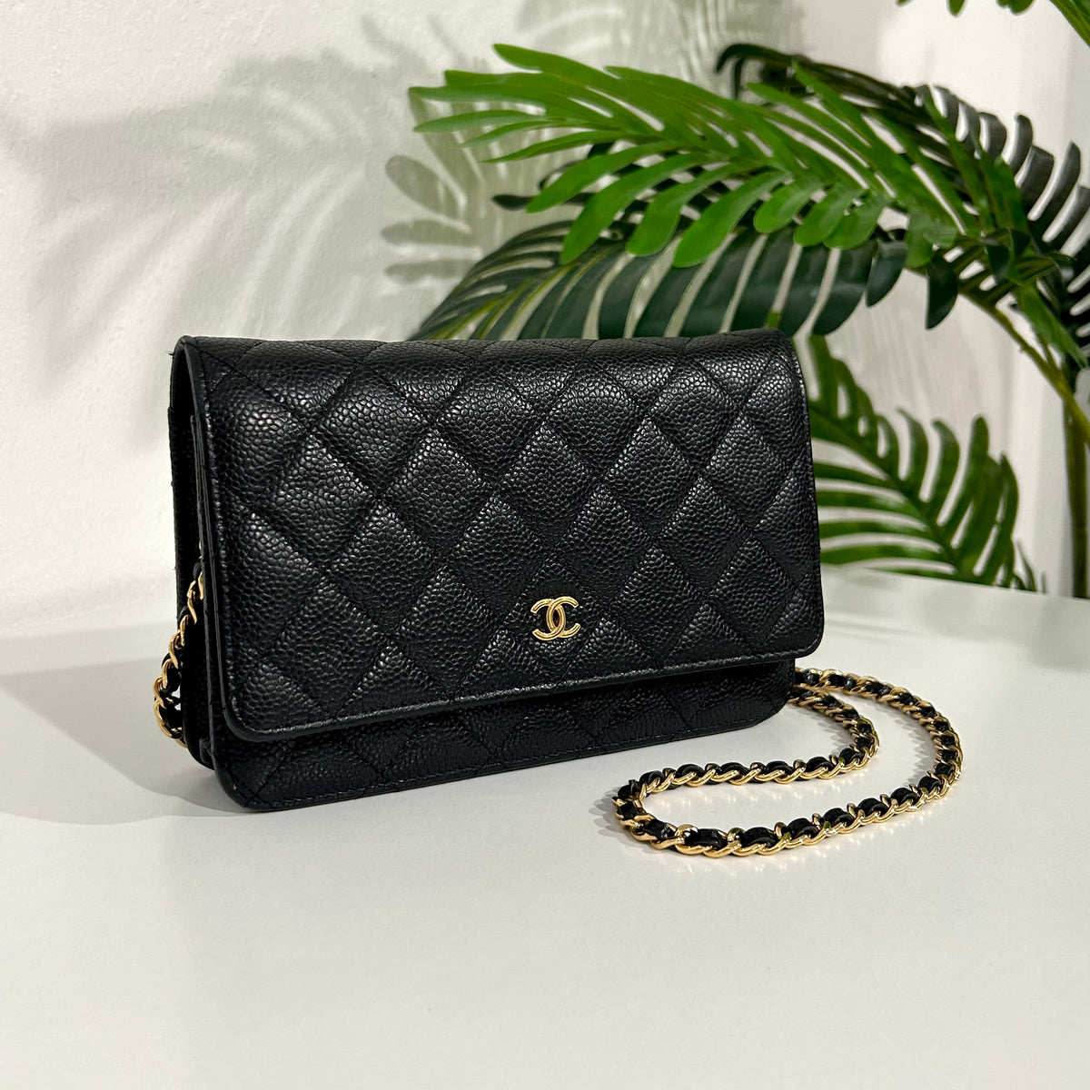 Chanel Mademoiselle Wallet on Chain, Black Caviar with Gold Hardware,  Preowned in Box WA001 - Julia Rose Boston