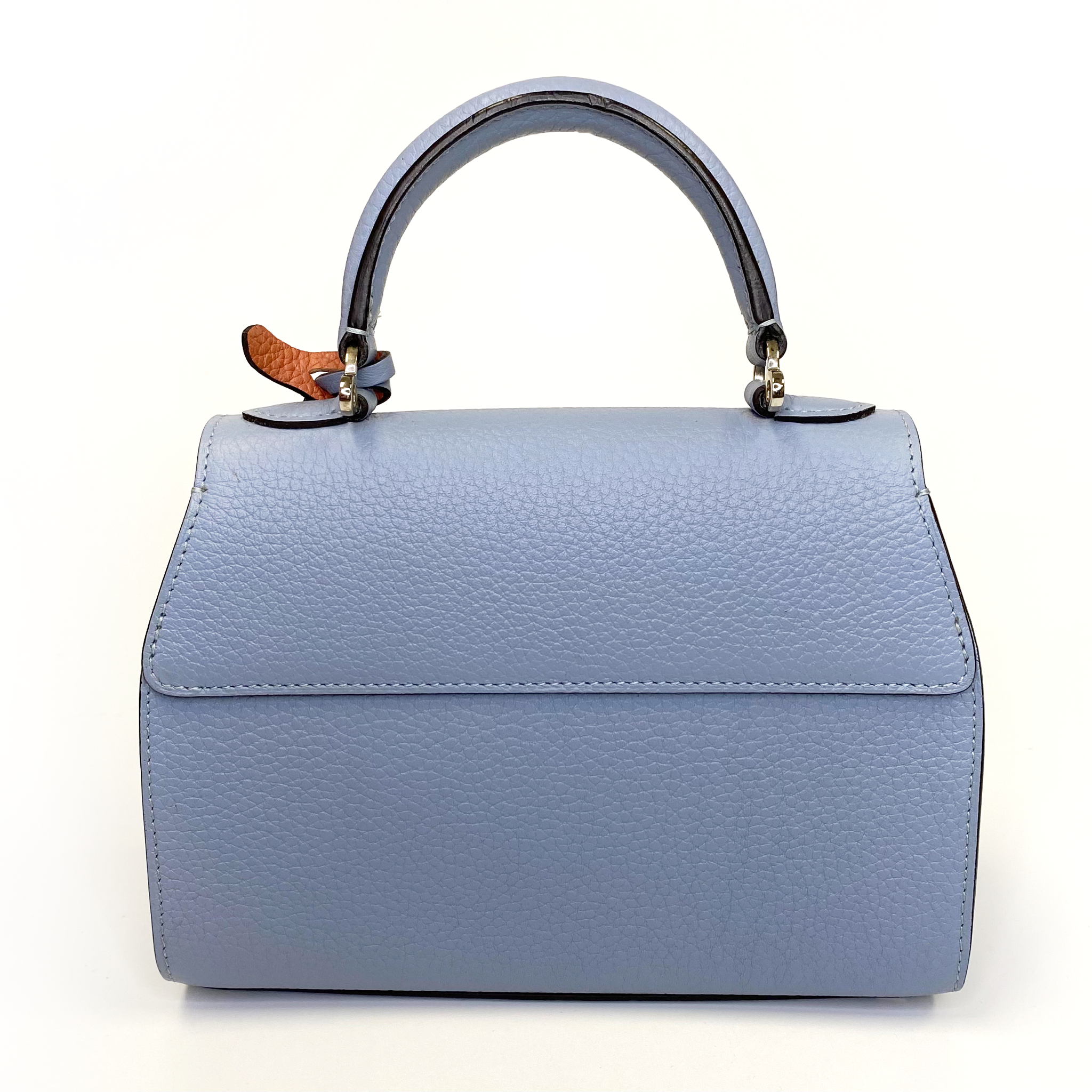 Moynat Baby Blue Mini Rejane Bag