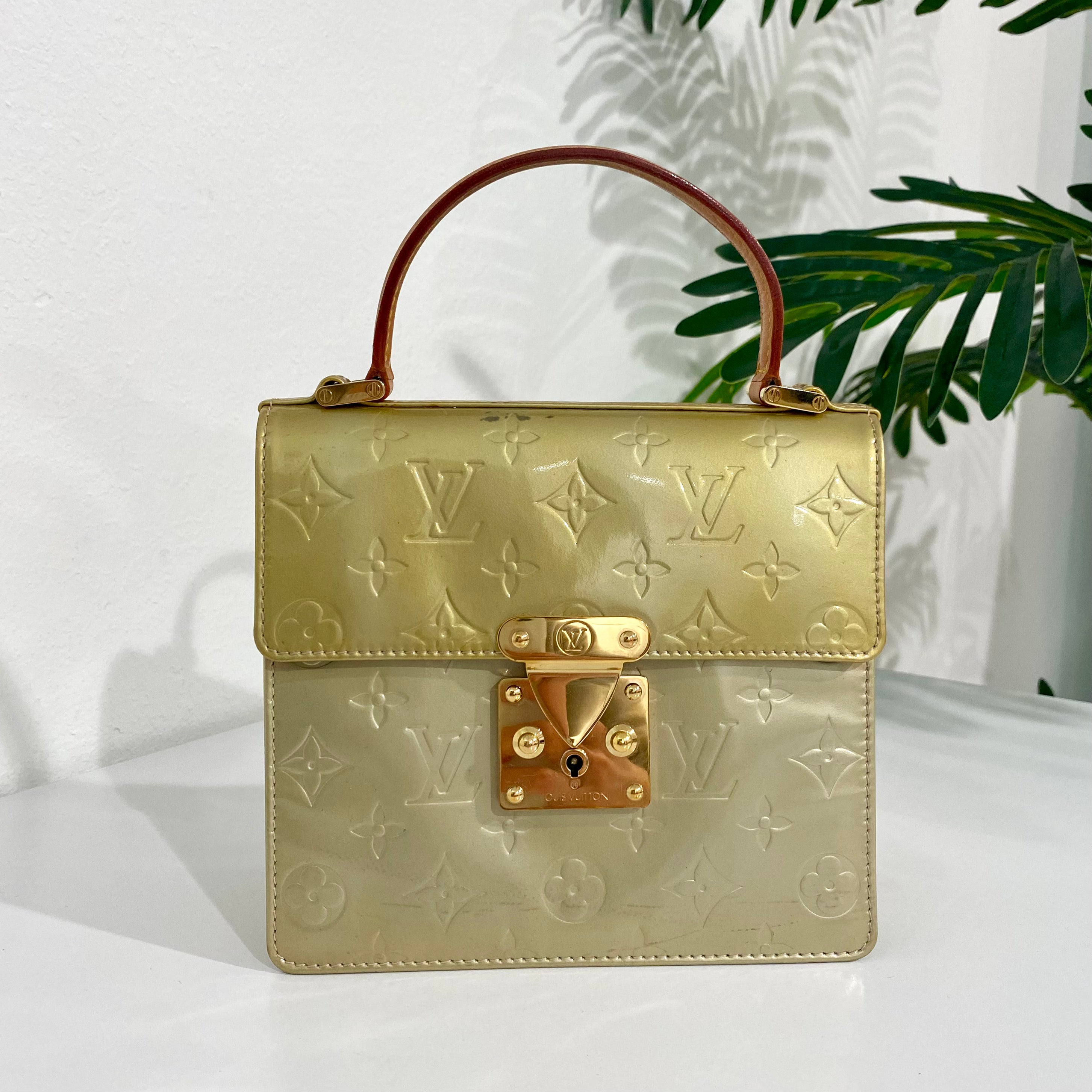 Louis Vuitton Spring Street Bag – Dina C's Fab and Funky