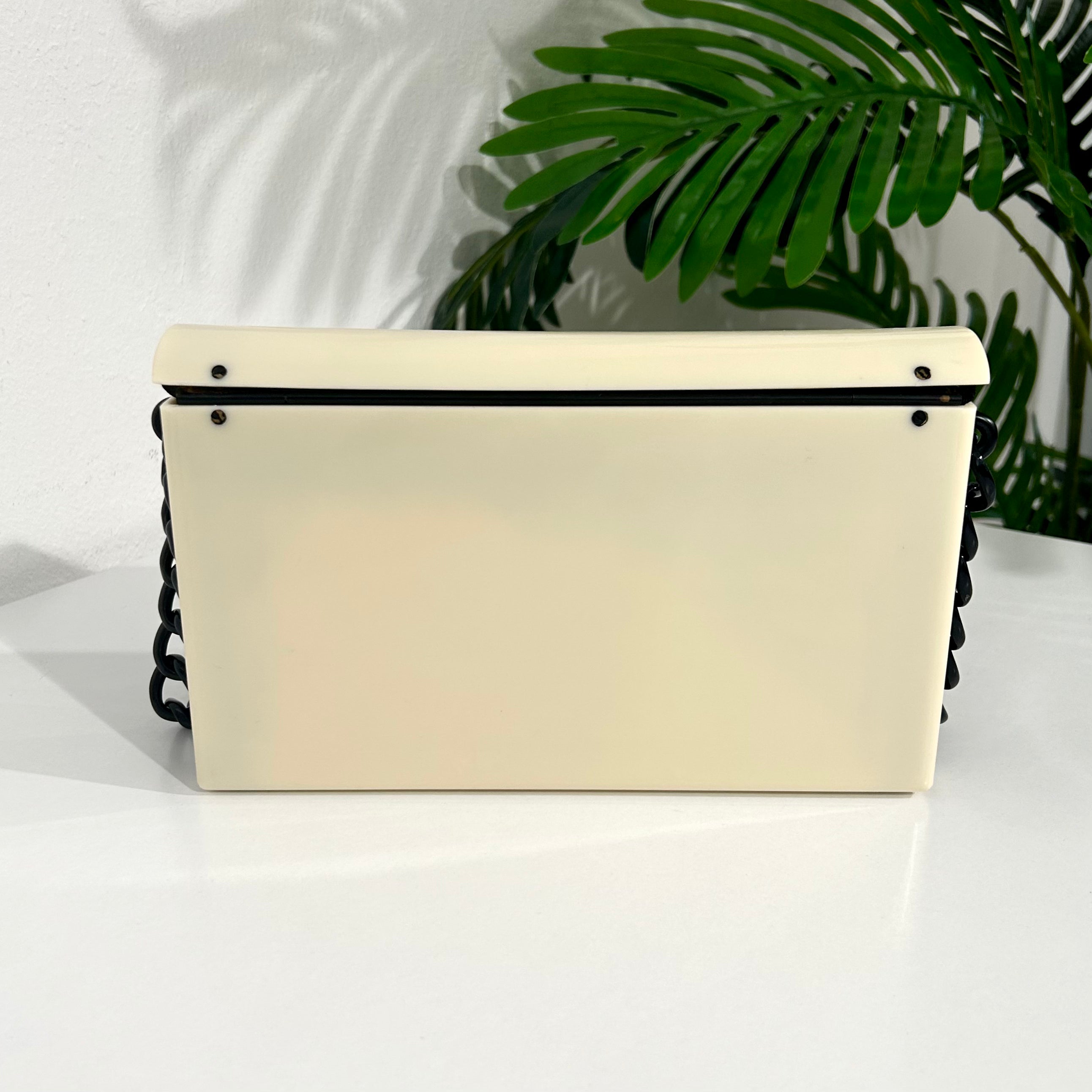 Chanel Vintage Acrylic Flap Bag – Dina C's Fab and Funky