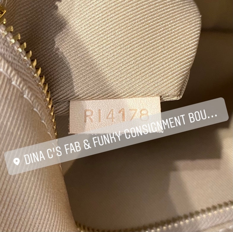 Louis Vuitton Damier Azur Pochette Accessories – Dina C's Fab and Funky  Consignment Boutique