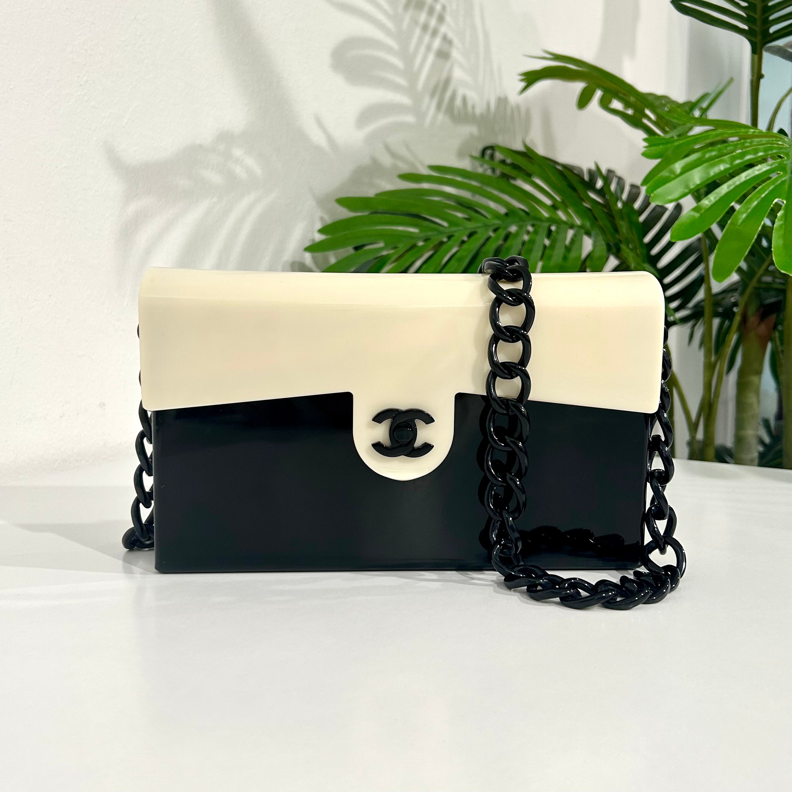 Chanel Acrylic Flap Bag – Dina C's Fab and Funky Boutique