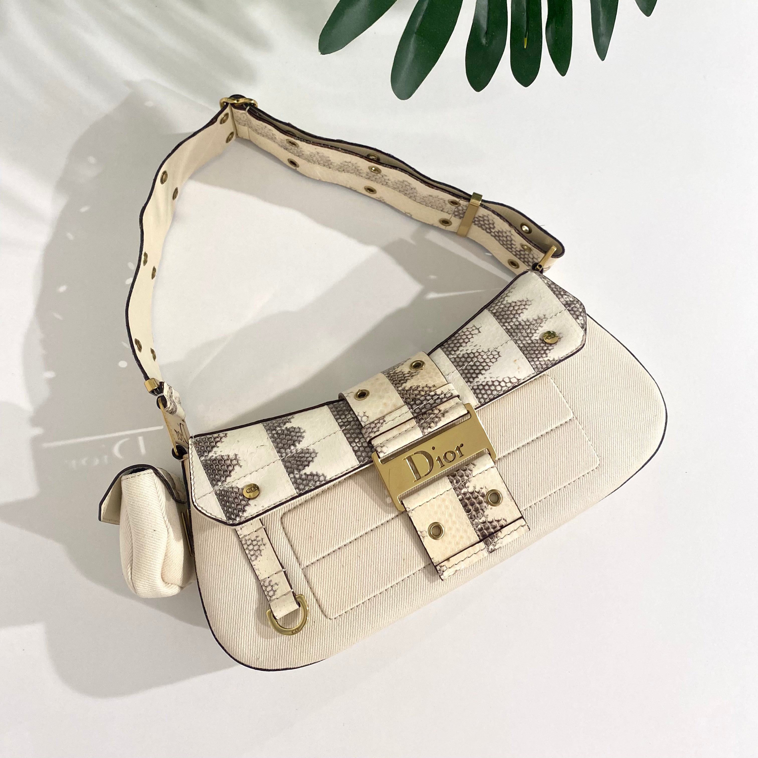 Christian Dior Cream Snakeskin Bag – Dina C's Fab and Funky Consignment  Boutique