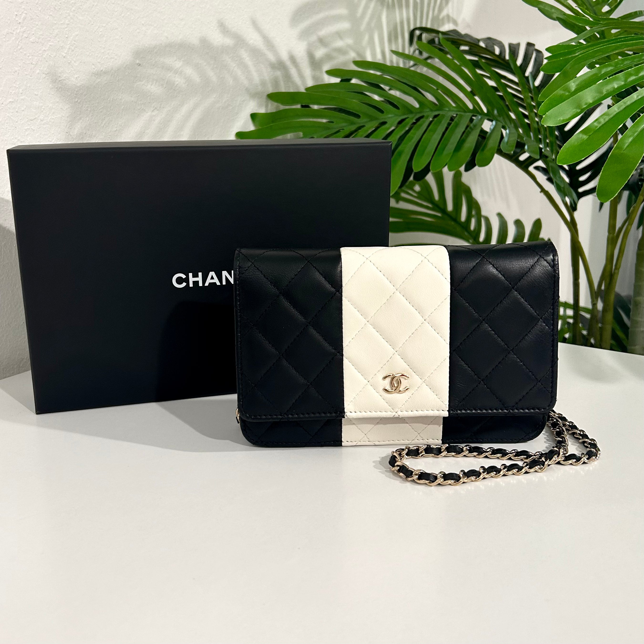 CHANEL Caviar Quilted Wallet On Chain WOC White