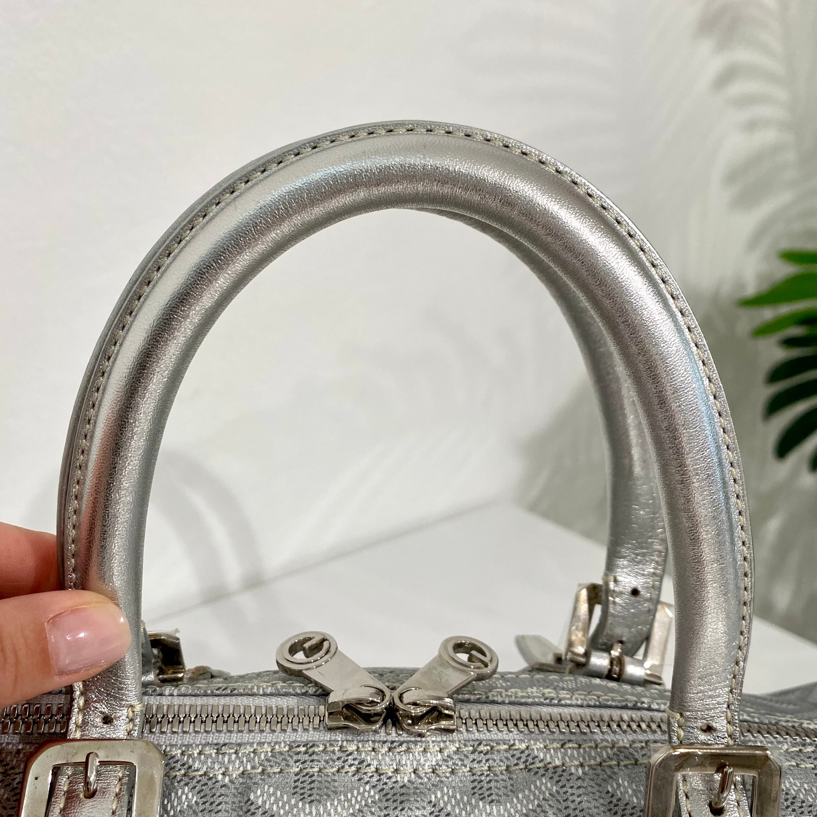 Goyard Metallic Croisiere 35 w/ Tags - Silver Handle Bags, Handbags -  GOY23043